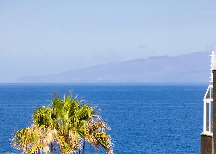 La Gaviota アパート *